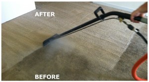 Carpet Cleaner Doubleview